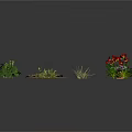 Various Types of Plants Including Red Flowers Green Shrubs Grass Tufts And Moss Mats