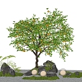 Modern Arbor Orange Tree Lemon Tree Garden Tree Micro Terrain 3d model