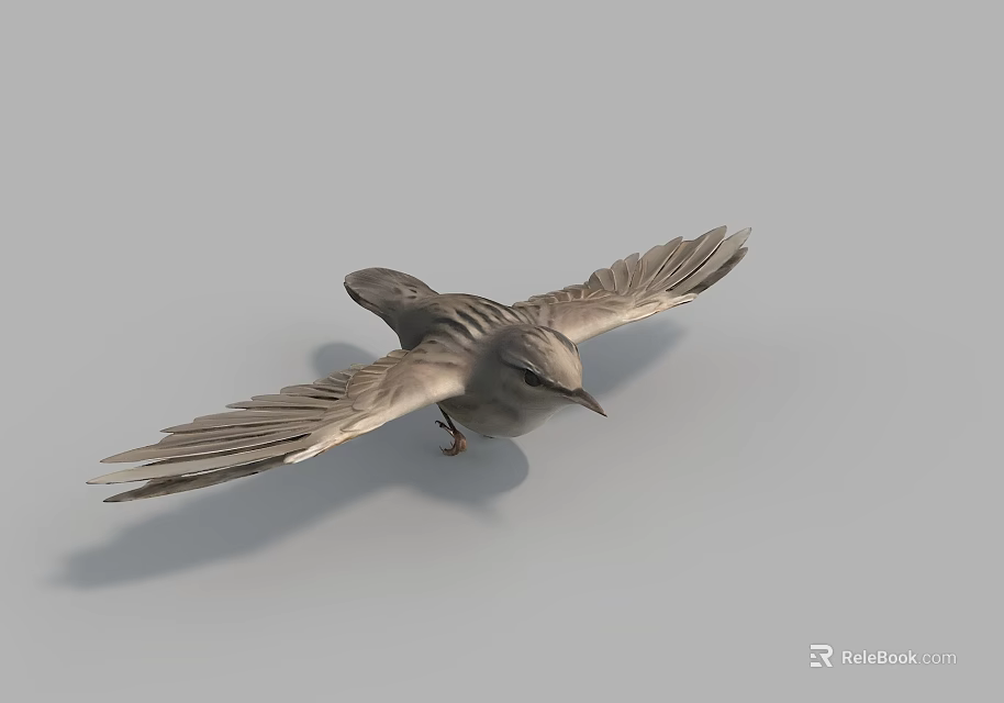Graceful Flying Bird With Spread Wings And Light Gray Plumage Against Neutral Background 3d model 