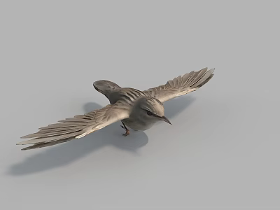 Graceful Flying Bird With Spread Wings And Light Gray Plumage Against Neutral Background 3d model