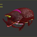 Textured Purple and Pink Spotted Beetle with Horned Head on Dark Background