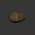 Turtle Cartoon Turtle Snapping Turtle Chickpea Turtle Reptile Cold Blooded Animal Reptile 3d model