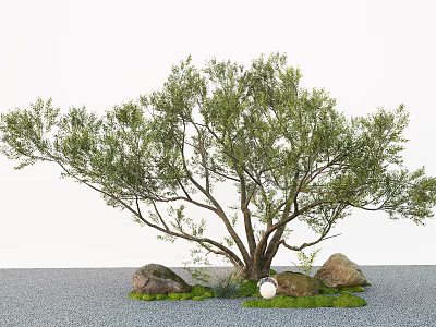 Natural Plant Combination With Large Tree Stones Green Grass And Decorative Ball 3d model