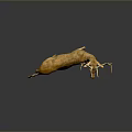 Golden Deer Model With Large Antlers Standing On Dark Background With Reflection