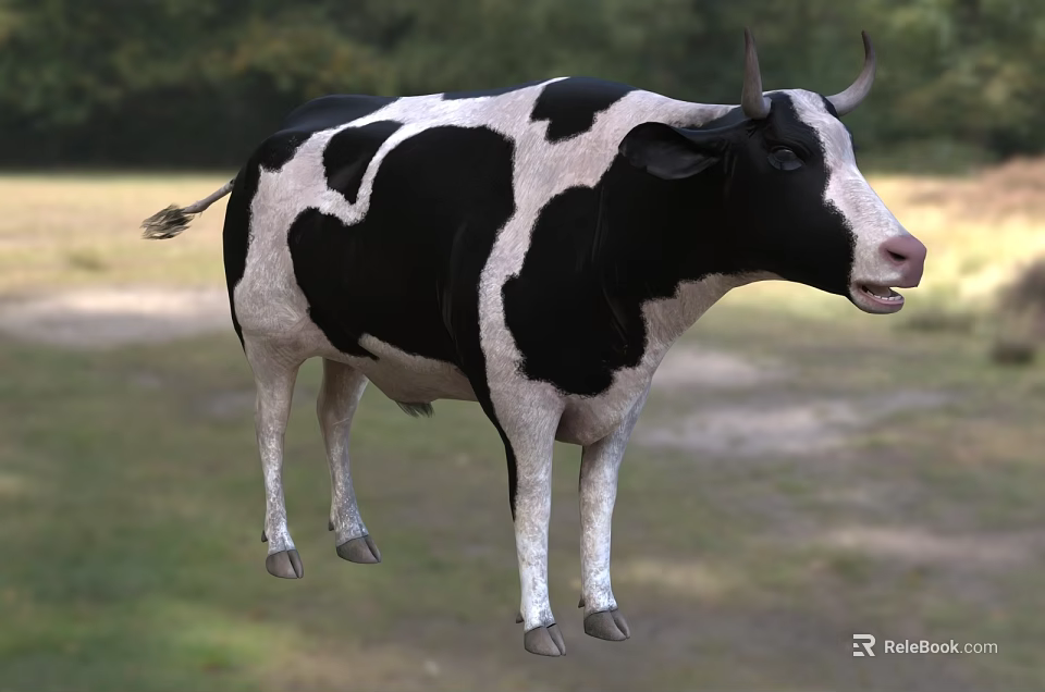 Reptile Species In Natural Habitat With Scales And Unique Physical Features 3d model 