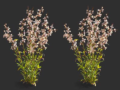 Two Decorative Flowering Plants With Pink Blooms and Green Foliage 3d model