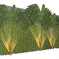 Decorative Green Plant Wall with Large Fan Shaped Leaves and Lush Foliage