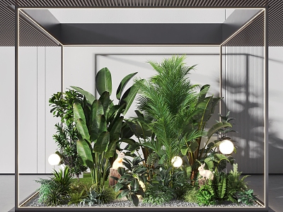 Plants Indoor Plants Landscape Landscaping 3d model