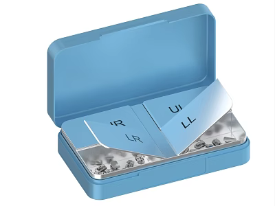 Blue Portable Daily Pill Organizer with Separated Compartments for Medication Storage 3d model