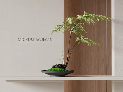 Bonsai Fern Plant in Black Pot on White Shelf Against Wooden Wall Modern Decor 3d model