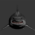 Realistic Striped Shark 3D Model With Sharp Teeth And Gray Skin 3d model