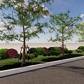 Arbor Trees Along Roadside With Green Lawn Shrubs And Blue Sky View
