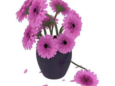 Pink Gerbera Flowers in Black Vase with Scattered Petals and Dropped Blooms 3d model