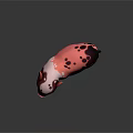Cute Pink And White Piglet With Black Spots Standing On Reflective Surface