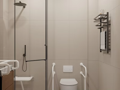 Modern Accessible Light Beige Bathroom With Safety Grab Rails And Complete Wet Dry Separation Design 3d model