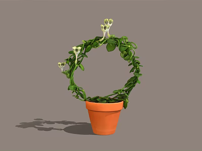 Green Vine Plant Growing In Orange Pot With Circular Shape And White Flowers 3d model