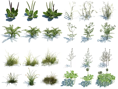 Various Green Plants And Grasses With Different Leaf Shapes And Textures 3d model