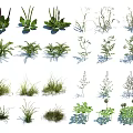 Various Green Plants And Grasses With Different Leaf Shapes And Textures 3d model