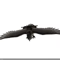 Majestic Eagle Flying with Saddle Like Gear Against Dark Background 3d model
