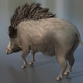 Wild Boar With Shaggy Mane And Gray Fur In Realistic Standing Posture