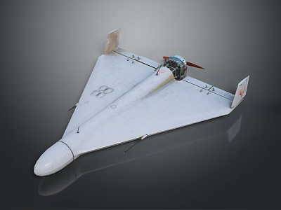 White Triangular Wing Model Aircraft With Propeller And Display Design Including Logo 3d model