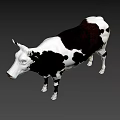 Realistic Black and White Spotted Cow 3D Model Standing Isolated on Gray Background
