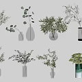 Various Glass Vases With Greenery And Flowers For Wall Decoration