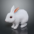 White Rabbit With Red Eyes And Pink Inner Ears Sitting On Dark Reflective Surface