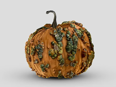 Organic Orange Pumpkin With Green And Brown Spots And Curved Stem 3d model