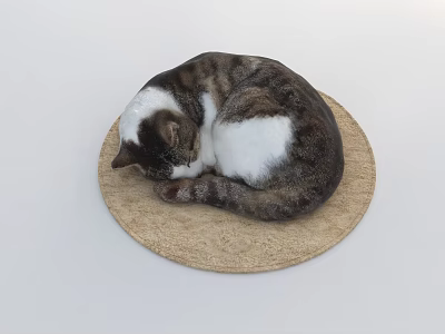 Gray And White Reptile Curled Up On Circular Beige Mat Sleeping 3d model