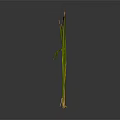 Field Mouse Exploring Tall Grasses And Brown Seed Plants On Dark Surface 3d model