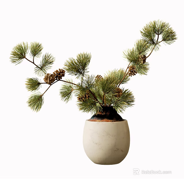 White Marble Vase With Green Pine Branches And Decorative Pine Cones 3d model