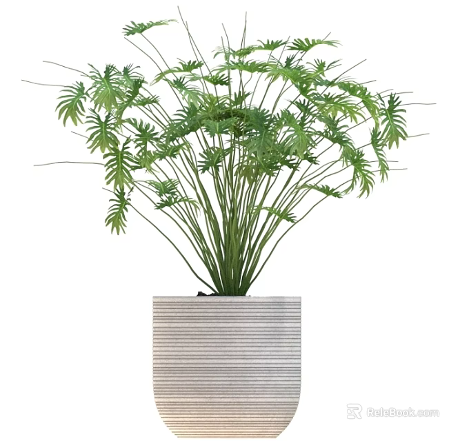 Decorative Green Plant In Striped Ceramic Pot For Indoor Decoration 3d model 