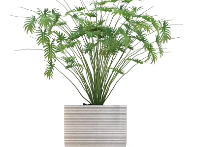 Decorative Green Plant In Striped Ceramic Pot For Indoor Decoration 3d model