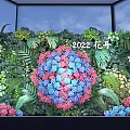 Decorative Living Plant Wall with Blooming Colorful Hydrangea and Green Fern Leaves