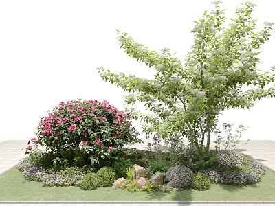 Pink Flowering Shrub Surrounded by White Flowering Tree Small Green Plants Stones and Lawn 3d model
