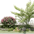 Modern Shrub Outdoor Plant Greening Landscape 3d model