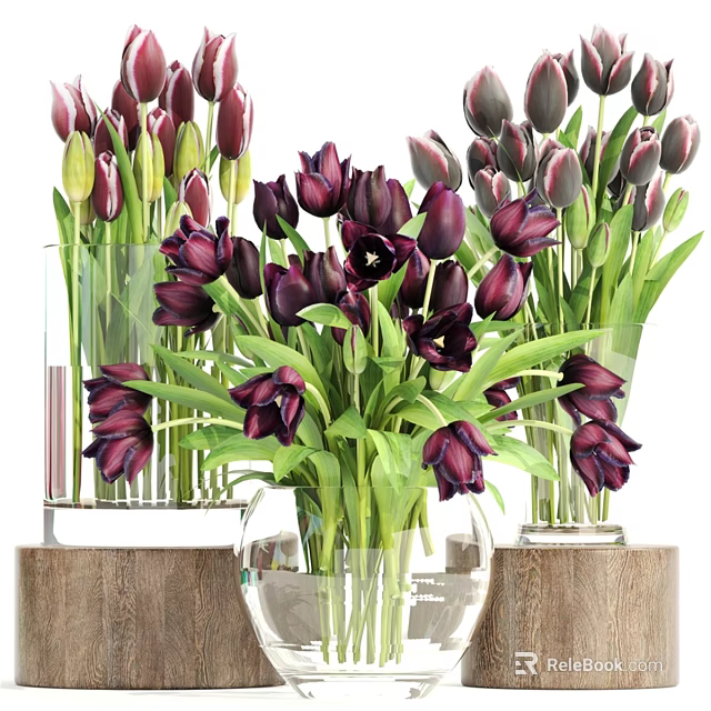 Decorative Ornament Set with Purple Black Tulips in Transparent Vases on Wooden Bases 3d model 