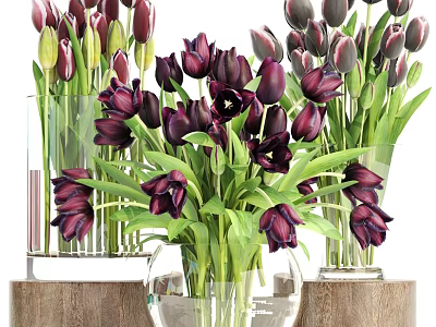 Decorative Ornament Set with Purple Black Tulips in Transparent Vases on Wooden Bases 3d model