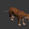 Realistic 3D Tiger Model With Detailed Stripes Standing On Black Background 3d model