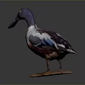 Detailed Blue Headed Duck Figurine With White Brown Feathers On Stone Base