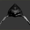 Detailed Whale Model With Dark Body And White Fins On Black Background
