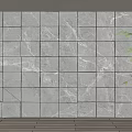 Modern Marble Textured Feature Wall With Geometric Panel Design And Potted Plant