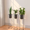 Indoor Bonsai Potted Plants On Black Metal Stands Near Window With Natural Light