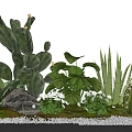 Modern Green Plant Pile Combination 3d model