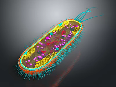 Bacterial Organ Structures With Hair Like Appendages In 3D Rendered Microorganism 3d model