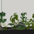Lush Green Plants With Various Leaf Shapes And Decorative Stones In Garden Arrangement