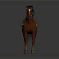 Brown Horse With Black Mane And Saddle Standing On Gray Background