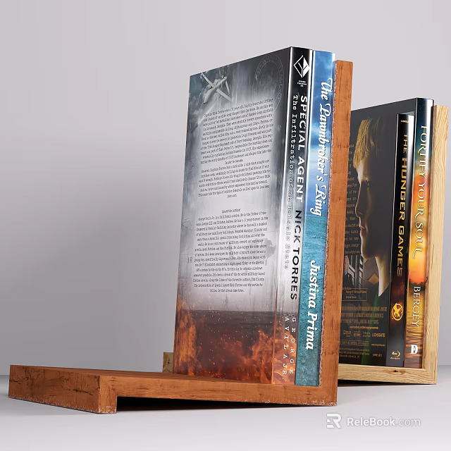 Books With Blue Cover Flame Design Spines And Text Images On Covers 3d model 