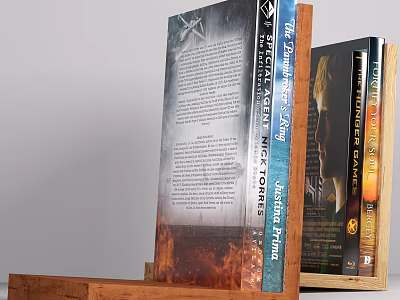 Books With Blue Cover Flame Design Spines And Text Images On Covers 3d model